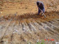 Exemplo de um mal preparo